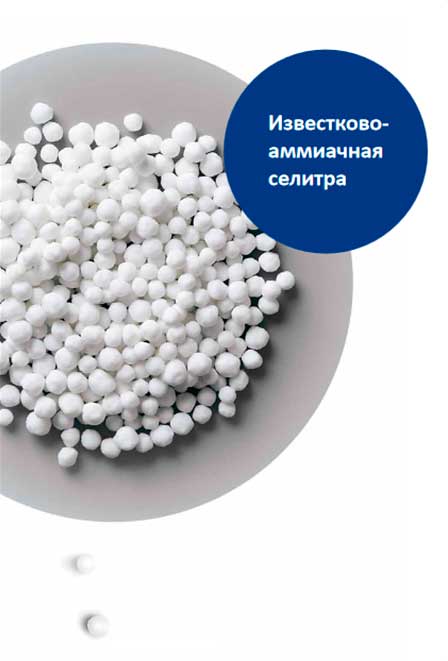 Известково-аммиачная селитра – купить по низкой цене. Минеральные удобрения | ООО «Агроплодородие» Известково-аммиачная селитра – купить по низкой цене. Минеральные удобрения | ООО «Агроплодородие»